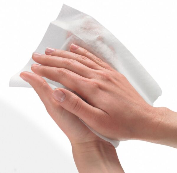 Hands Wet Wipes